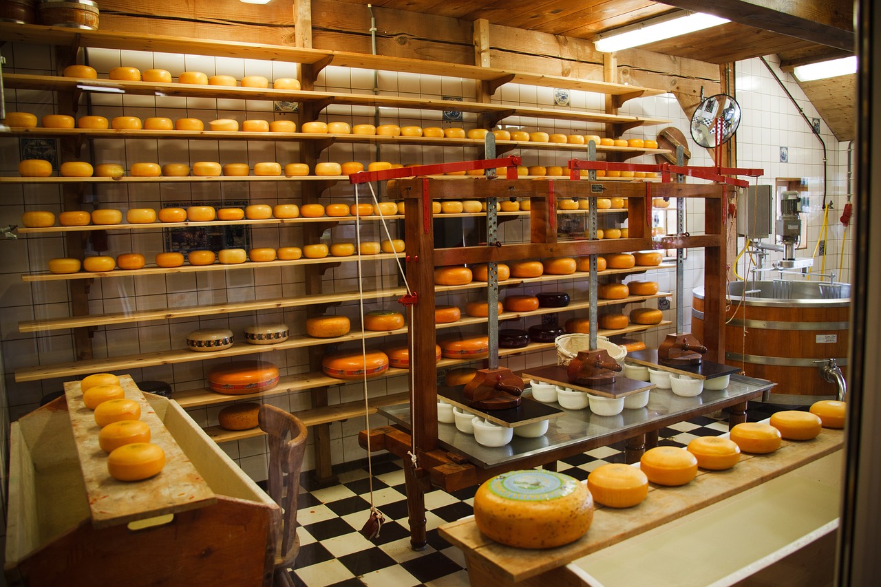 Cheese Manufacturing